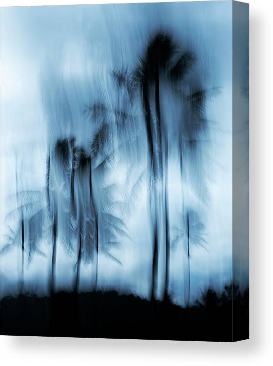 Island Canvas Print featuring the photograph Island Mood by Shelby Erickson
