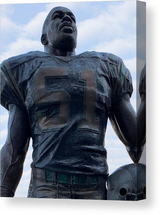 Sam Mills Canvas Print featuring the photograph Keep Pounding by Lee Darnell