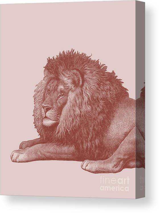 Lion Canvas Print featuring the digital art King Of The Jungle by Madame Memento