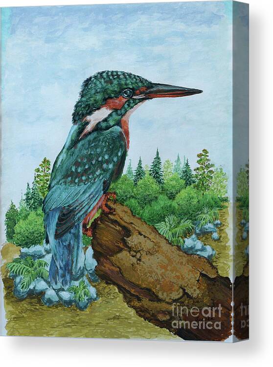  Canvas Print featuring the painting Kingfisher by Jyotika Shroff