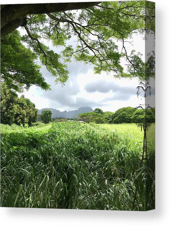 Lush Green Grass Canvas Print featuring the photograph Koloa Green Shade - vertical by Jennifer Kane Webb