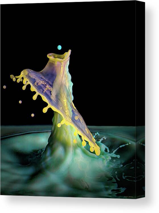 Water Drop Art Canvas Print featuring the photograph Largemouth Space Bass by Michael McKenney