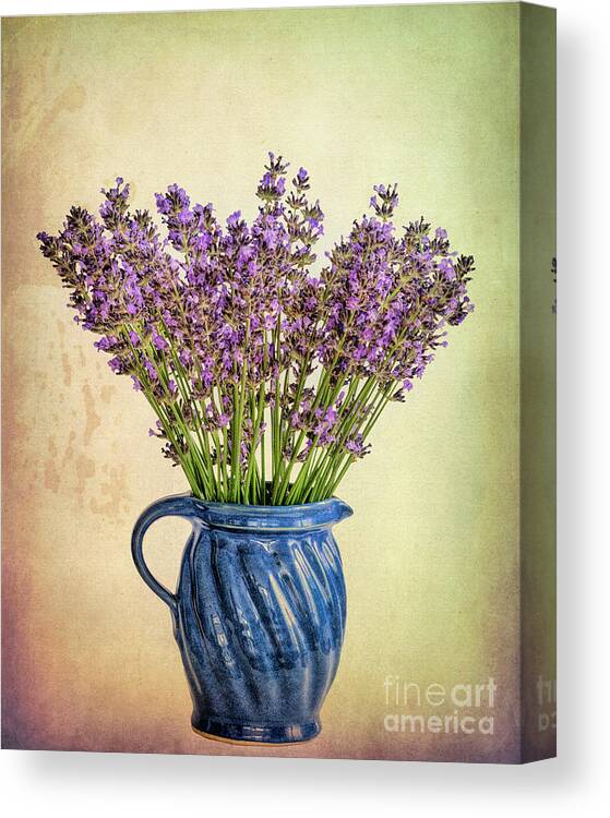 Nag005718 Canvas Print featuring the digital art Lavender in Vase by Edmund Nagele FRPS