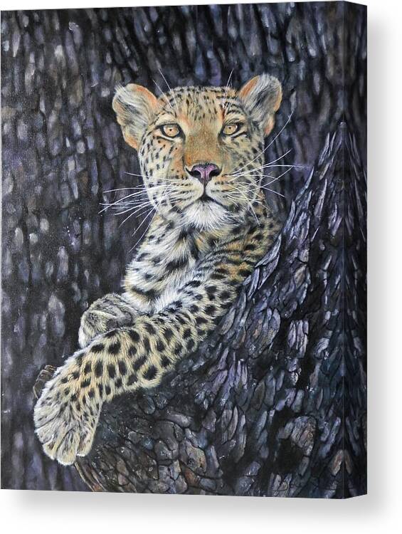 Leopard Canvas Print featuring the painting Leopard Lookout by John Neeve