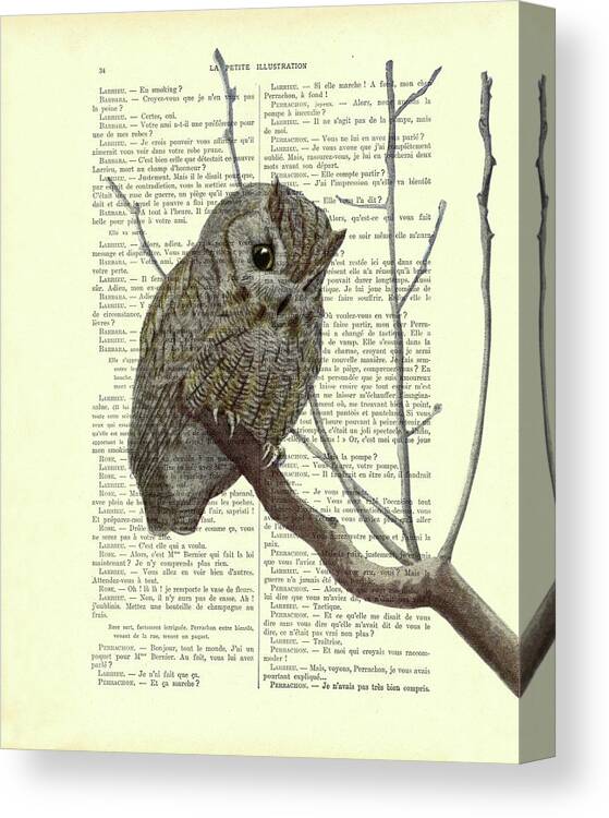 Owl Canvas Print featuring the digital art Little owl on a branch by Madame Memento