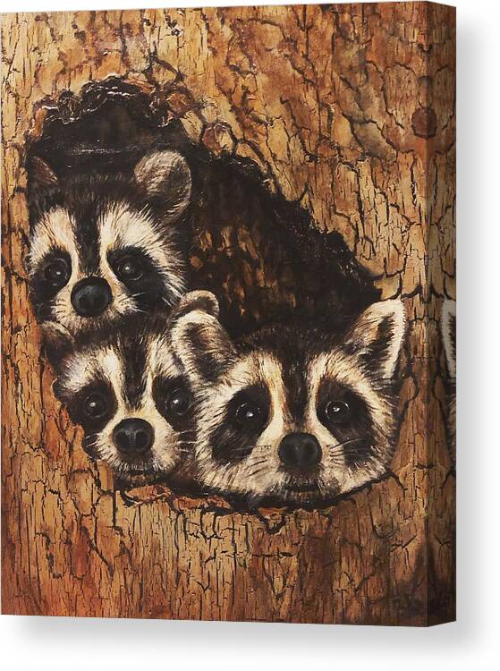 Racoons Canvas Print featuring the painting Little Rascals by Barbara Landry