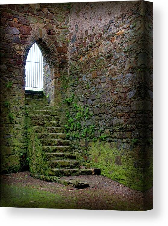 Ireland Canvas Print featuring the photograph Looking Up by Denise Strahm