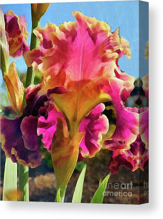 Iris Canvas Print featuring the digital art Lovely Iris by Jeanette French