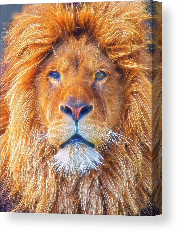 Male Lion Canvas Print featuring the digital art Male Lion portrait Digital Art by Gareth Parkes