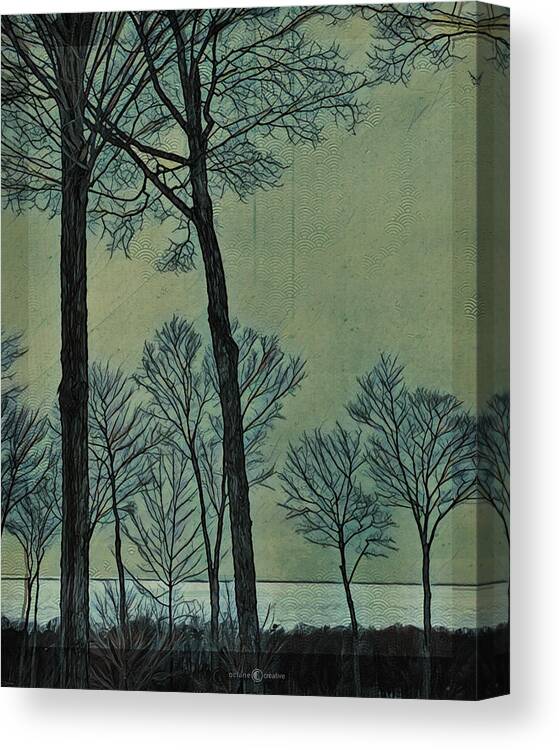 Winter Canvas Print featuring the photograph March Trees by Tim Nyberg