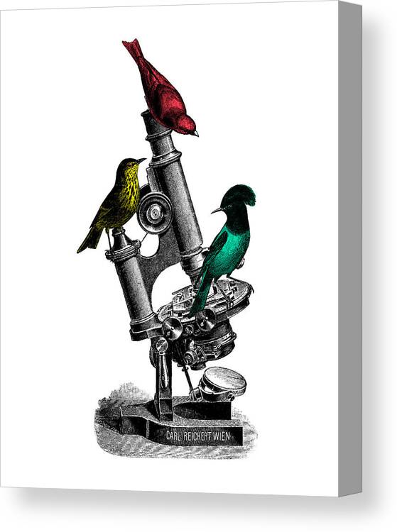 Bird Canvas Print featuring the digital art Microscopic Birds by Madame Memento