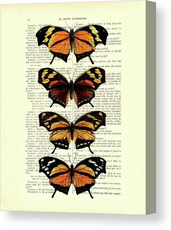 Monarch Butterfly Canvas Print featuring the mixed media Monarch Butterfly Collection by Madame Memento