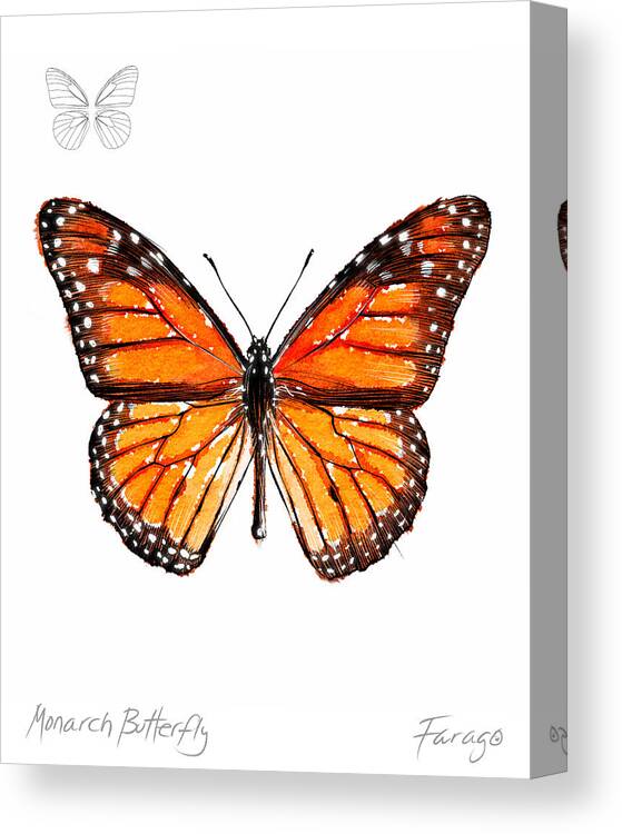 Monarch Canvas Print featuring the drawing Monarch butterfly by Peter Farago
