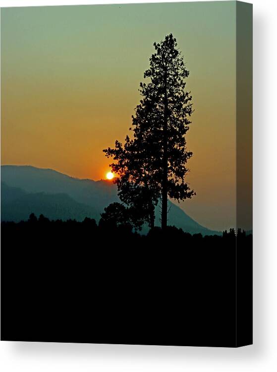 Montana Canvas Print featuring the photograph Montana Sunset by Sarah Lilja
