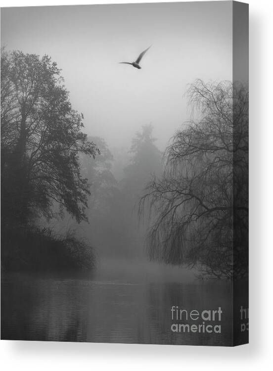 Misty Canvas Print featuring the photograph Morning Flight by Daniel M Walsh