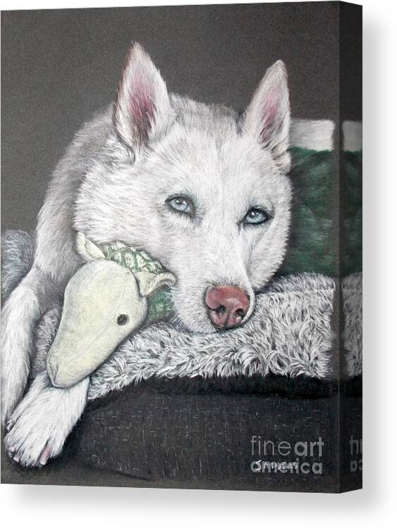 Husky Canvas Print featuring the drawing Mylo by Pamela Sanders