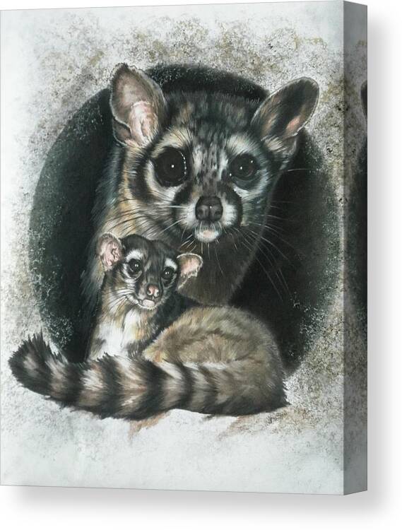 Wildlife Canvas Print featuring the mixed media Night Hunter by Barbara Keith
