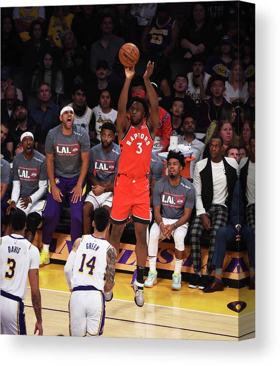 Nba Pro Basketball Canvas Print featuring the photograph Og Anunoby by Adam Pantozzi