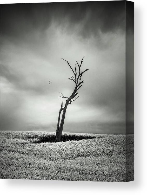 Monochrome Canvas Print featuring the photograph Out West by Grant Galbraith