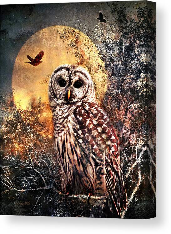 Photography Canvas Print featuring the photograph Owl in Moonlight by Shara Abel