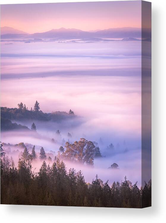 Fog Canvas Print featuring the photograph Pastel Dreams by Shelby Erickson