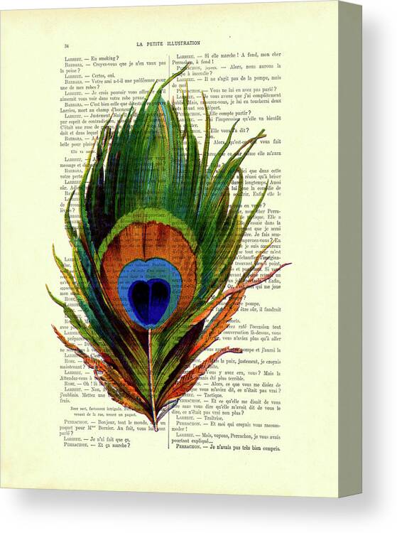 Peacock Canvas Print featuring the digital art Peacock feather on French antique book page by Madame Memento