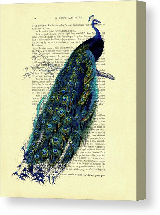 Peacock Canvas Print featuring the mixed media Peacock on branch by Madame Memento