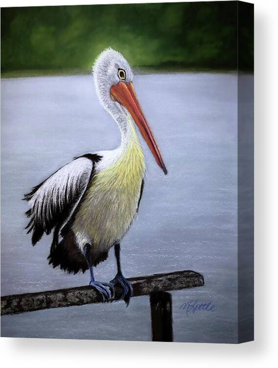 Pelican Canvas Print featuring the drawing Pelican by Marlene Little