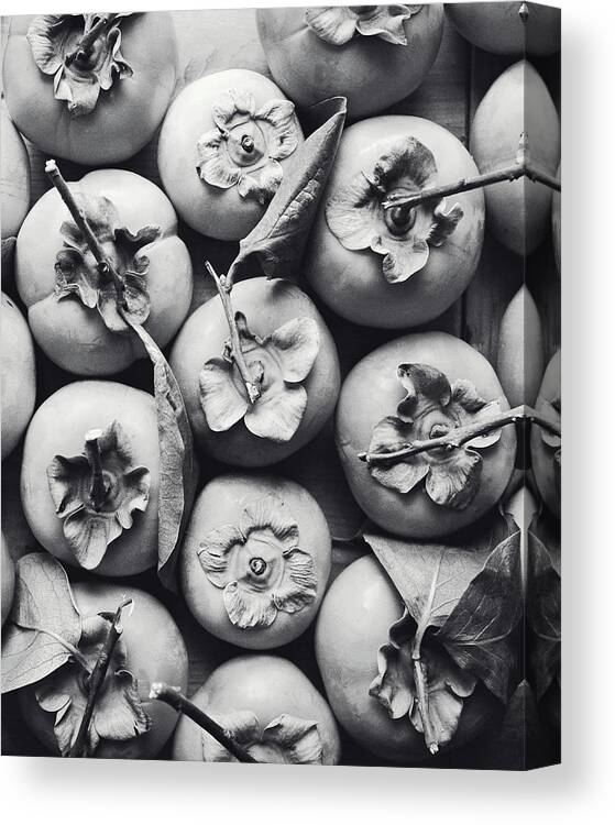 Persimmon Canvas Print featuring the photograph Persimmon Harvest by Lupen Grainne
