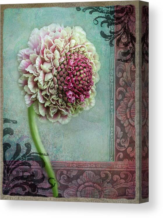 Fine Art Canvas Print featuring the photograph Pincushion Collage-Right by Shara Abel