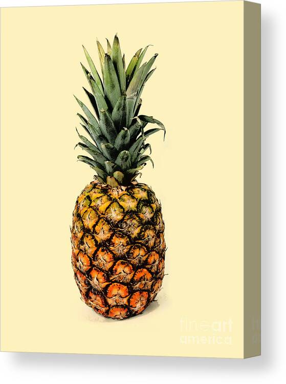 Pineapple Canvas Print featuring the digital art Pineapple summer fruit by Madame Memento