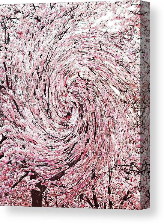 Abstract Canvas Print featuring the photograph Pink and White Cherry Tree Swirl by Emmy Marie Vickers