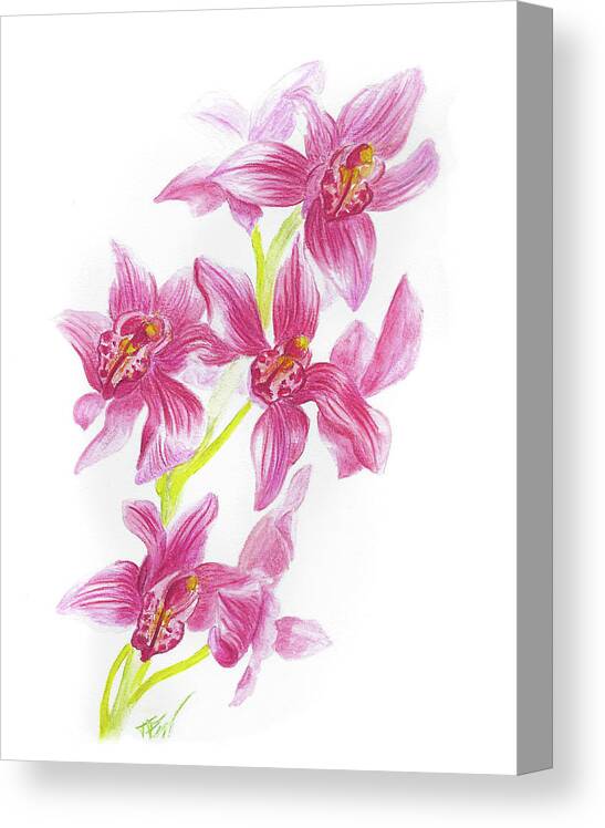 Pink Orchid Canvas Print featuring the drawing Pink Orchid by Tatiana Fess
