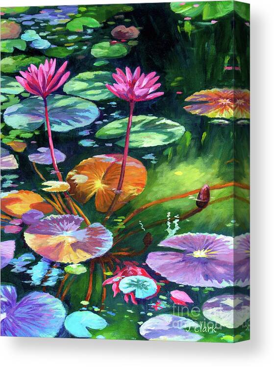 Pink Canvas Print featuring the painting Pink Waterlilies by John Clark