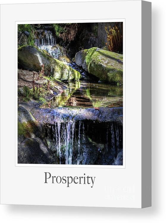 Waterfall Canvas Print featuring the photograph Prosperity by D Lee