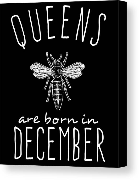 Funny Canvas Print featuring the digital art Queens Are Born In December by Flippin Sweet Gear