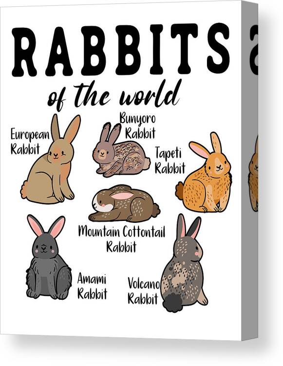 Rabbit Canvas Print featuring the digital art Rabbits Of The World by Toms Tee Store