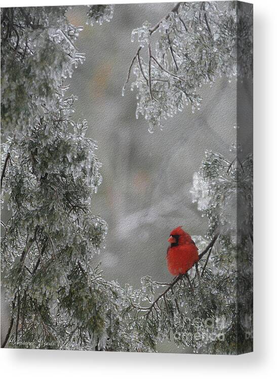 Bird Canvas Print featuring the photograph Renewal by Constance Woods