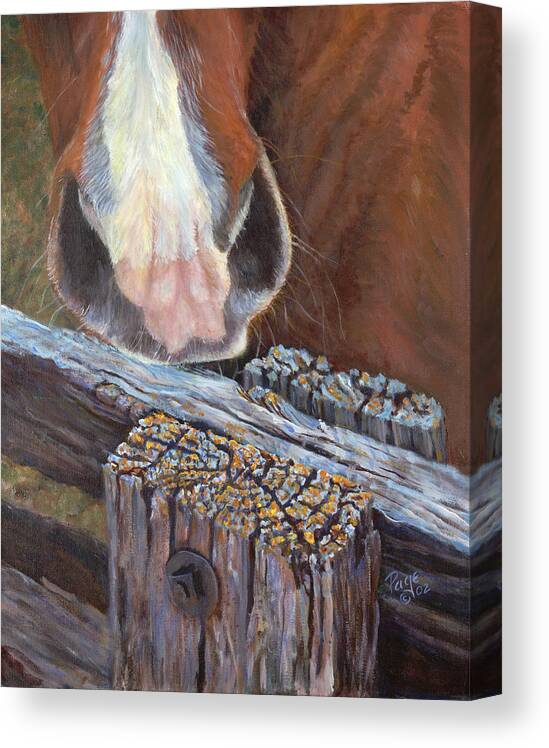 Horse Canvas Print featuring the painting Rhoda Knows by Page Holland