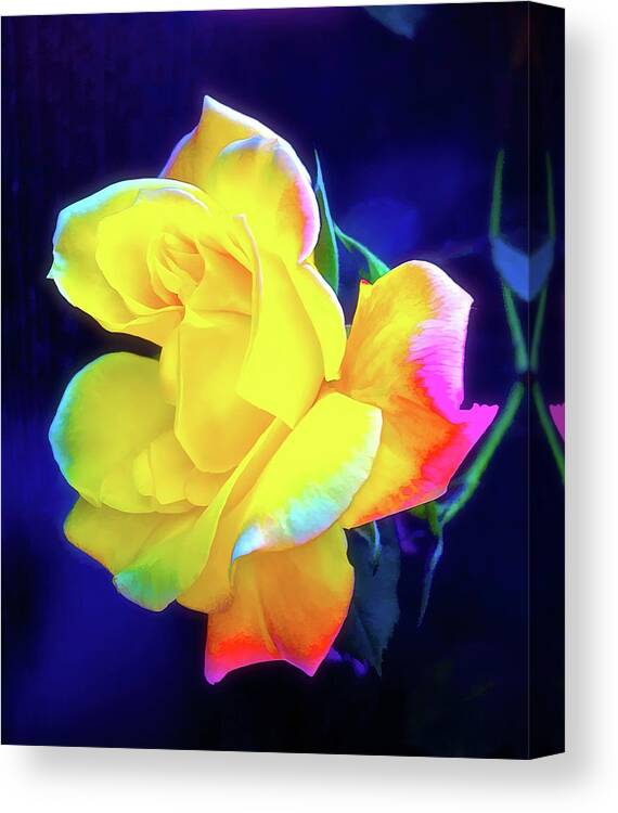 Flowers Canvas Print featuring the photograph Rose 4 by Pamela Cooper