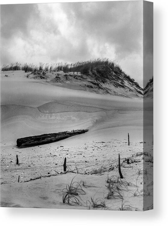 Beach Canvas Print featuring the photograph Sand Dune and Driftwood by Stephen Russell Shilling