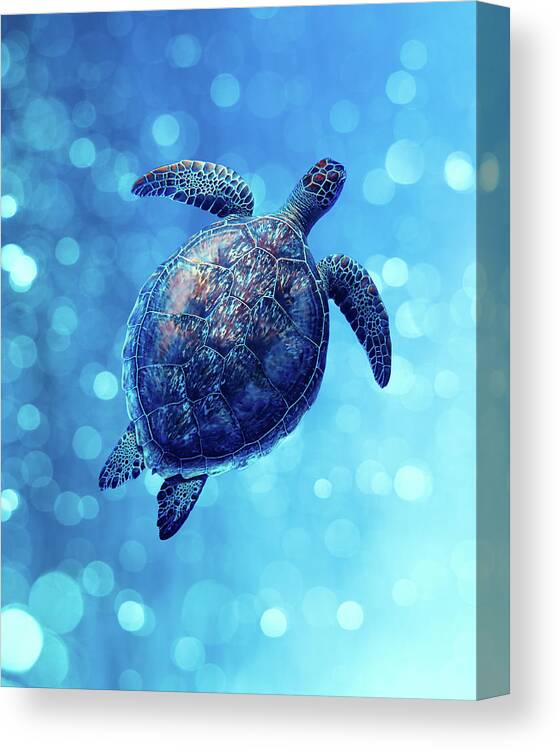 Animal Canvas Print featuring the photograph Sea Turtle Bubbly Blues by Laura Fasulo