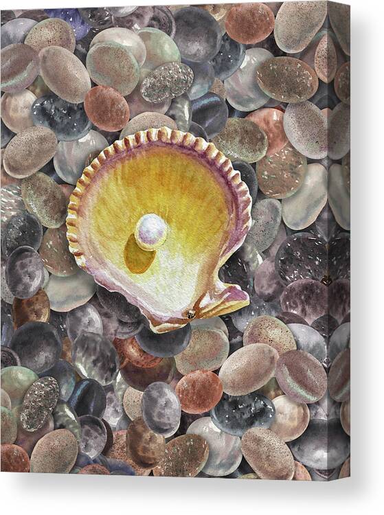 Seashell Canvas Print featuring the painting Seashell And Pearl On The Beach Rocks Pebbles Watercolor by Irina Sztukowski