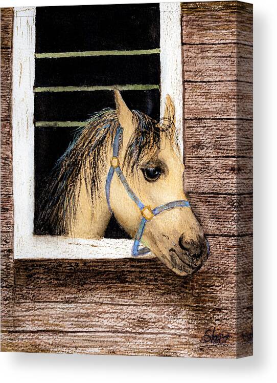 Art Awareness Light And Colour Canvas Print featuring the painting Sherazad the Horse Watercolor Art by Sher Nasser