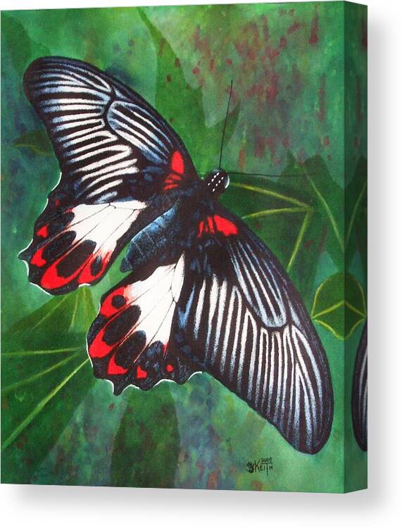 Insect Canvas Print featuring the mixed media Simplicity by Barbara Keith