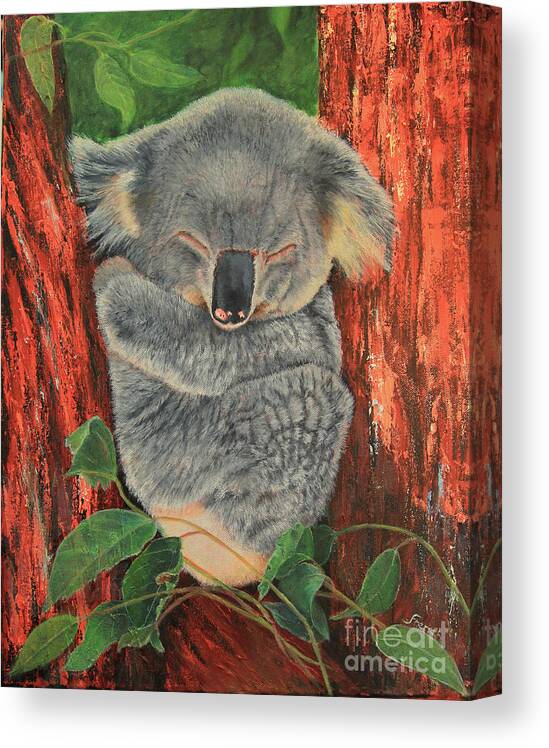 Koala Canvas Print featuring the painting Sleeping Koala by Jeanette French