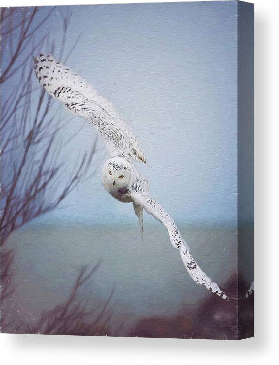 Wildlife Canvas Print featuring the photograph Snowy Owl In Flight Painting 1 by Carrie Ann Grippo-Pike