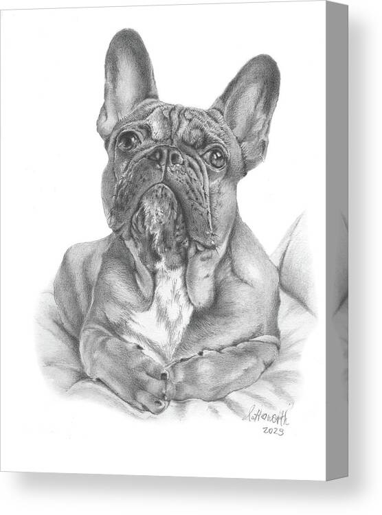 French Bulldog Canvas Print featuring the drawing Snuggle Bug by Louise Howarth