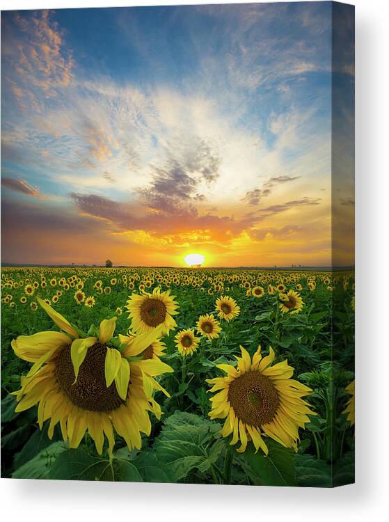 South Dakota Canvas Print featuring the photograph Somewhere With You by Aaron J Groen