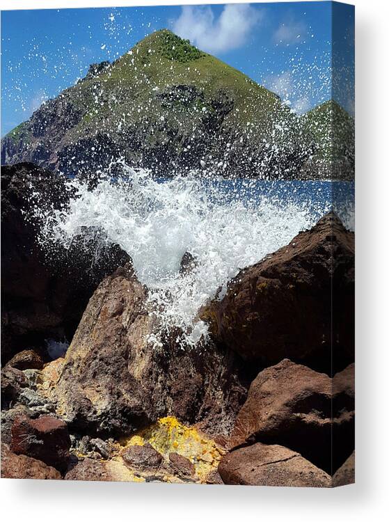 Cove Bay Canvas Print featuring the photograph Splash by Ingrid Zagers